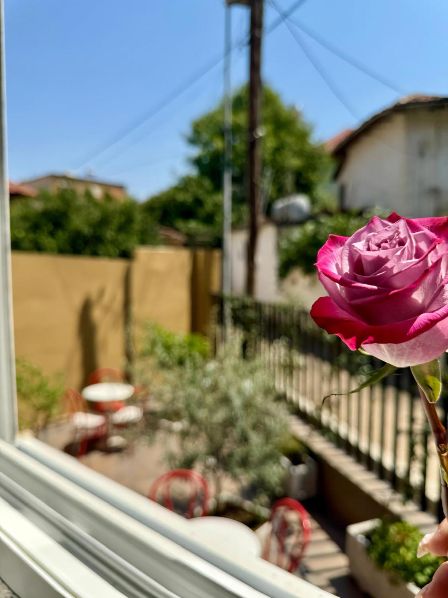 Vila Panto Тирана Экстерьер фото